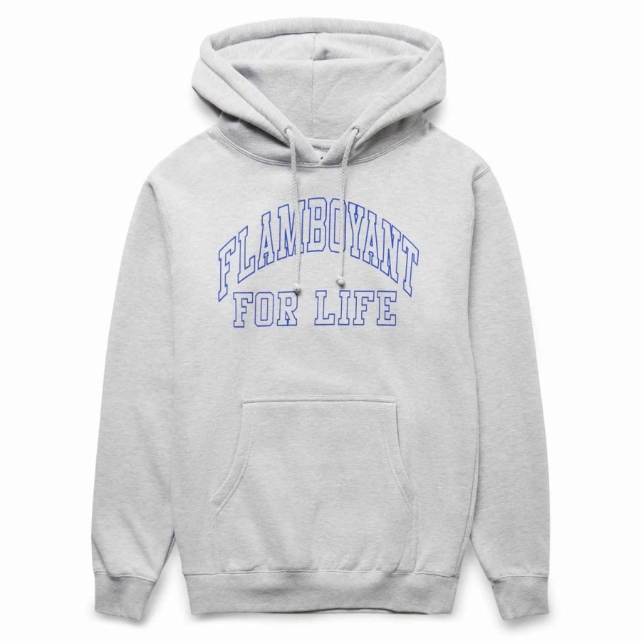 Hoodies & Sweatshirts | * Pleasures Flamboyant Hoodie Heather Grey